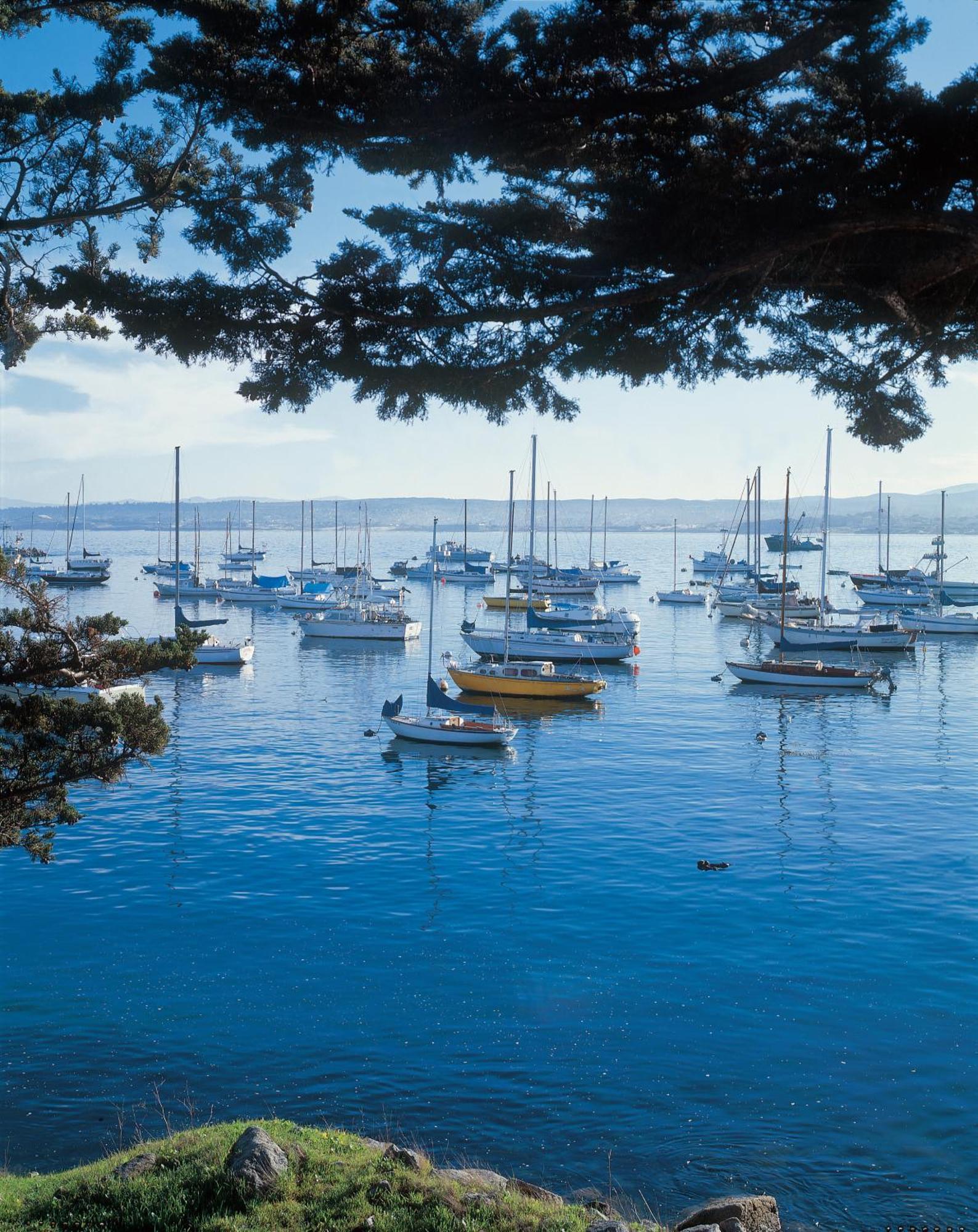 Monterey Bay Inn Luaran gambar